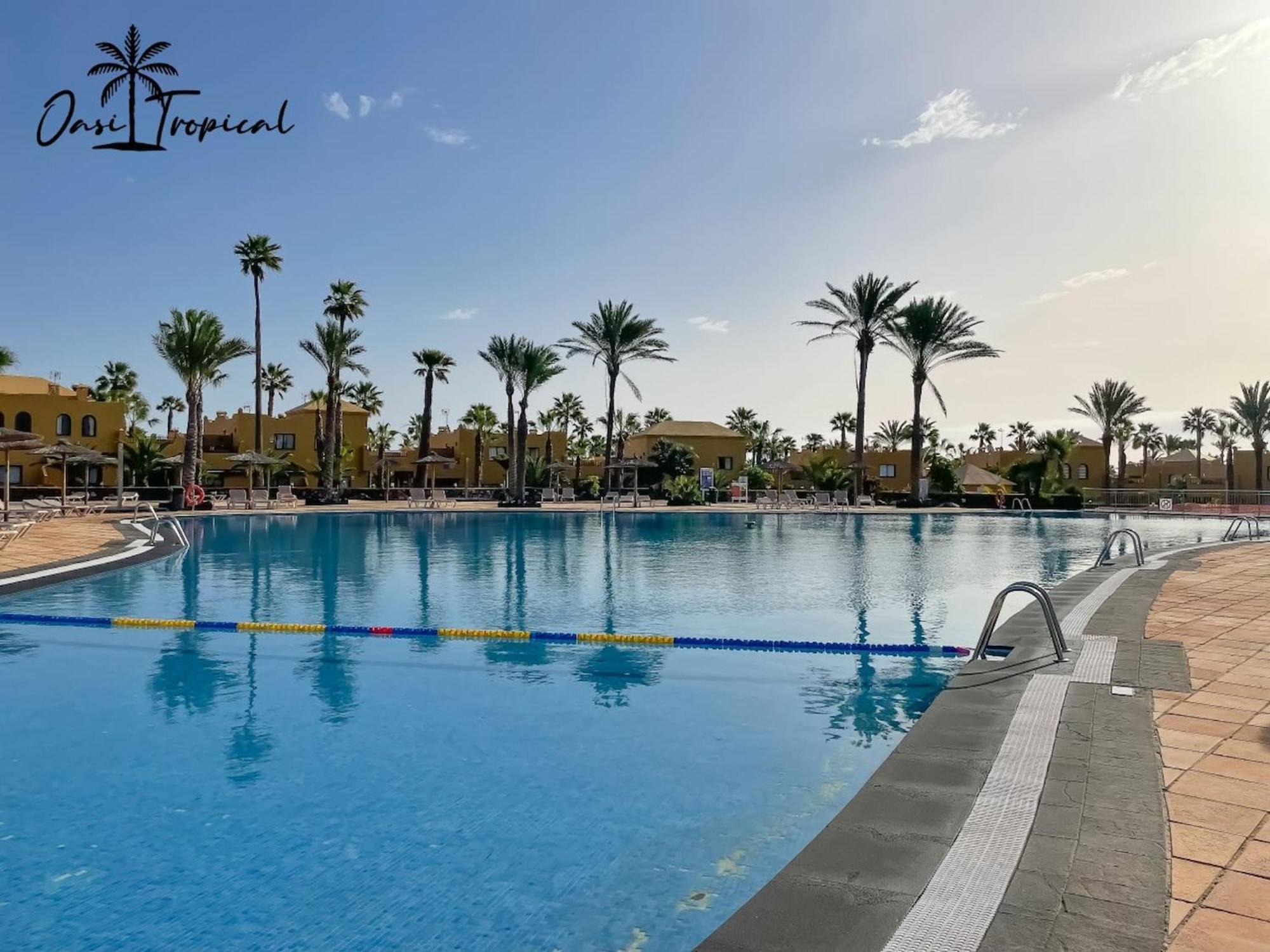 Oasi Tropical Wifi Free By Rentalfue Corralejo Exterior foto