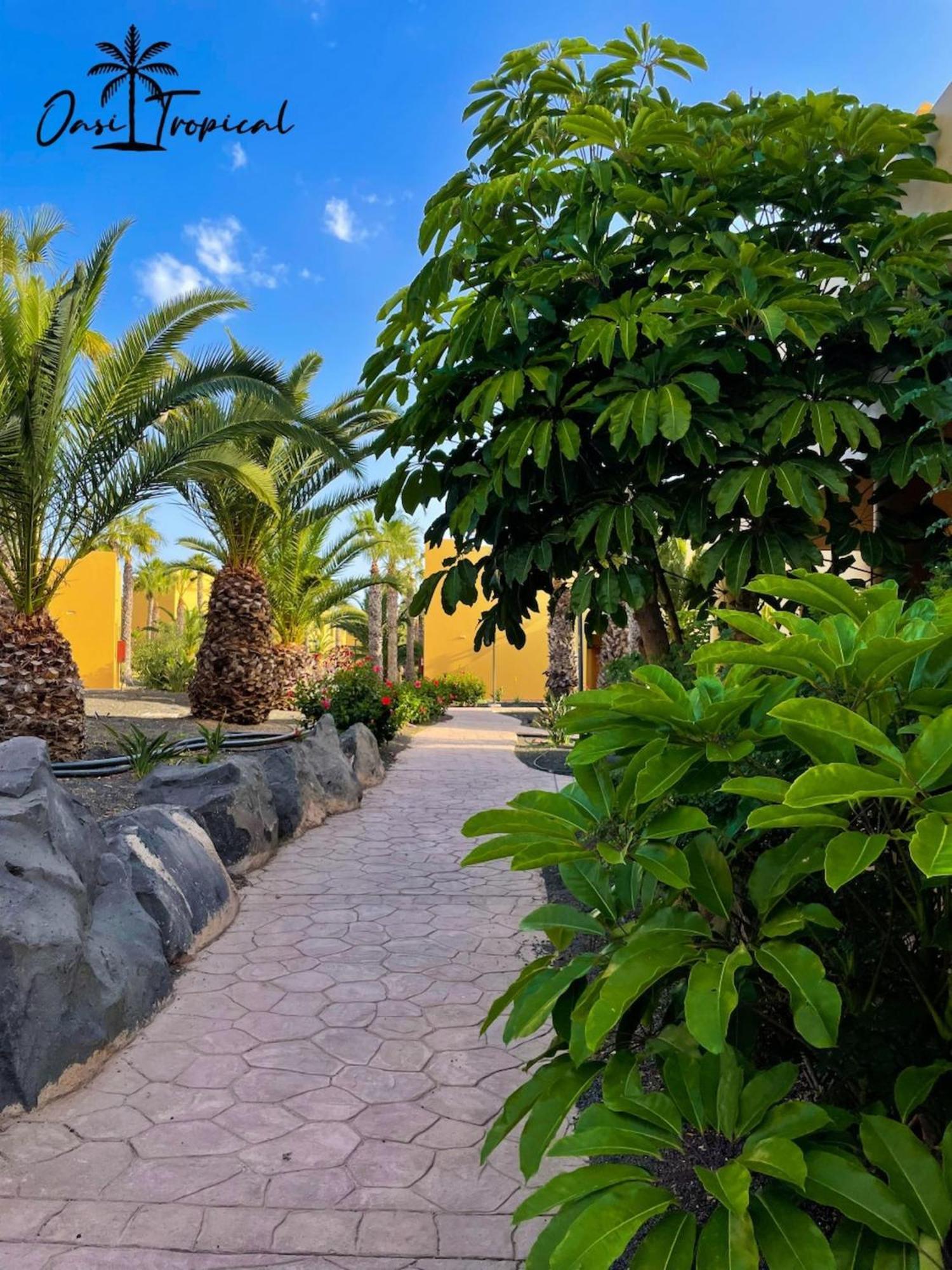 Oasi Tropical Wifi Free By Rentalfue Corralejo Exterior foto