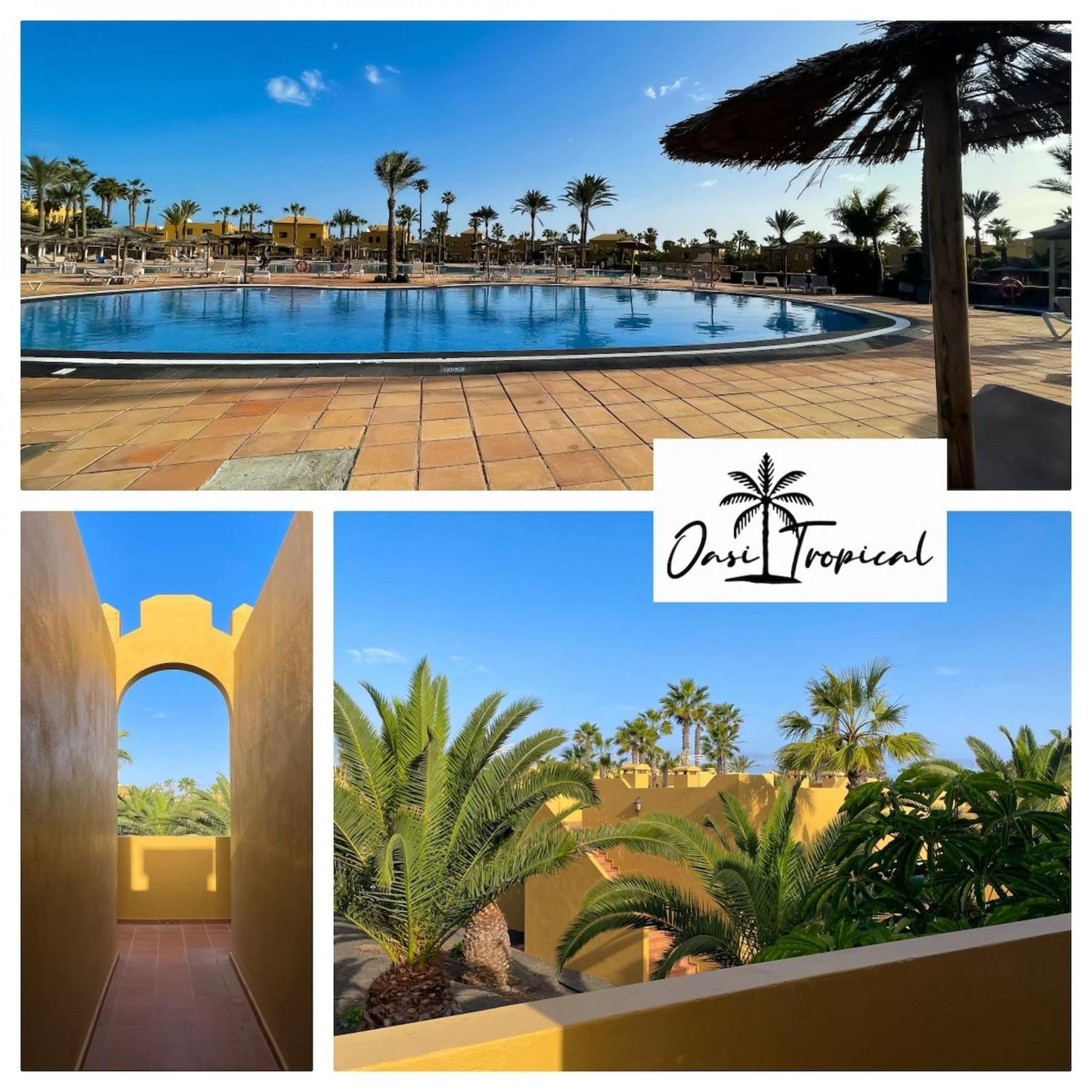 Oasi Tropical Wifi Free By Rentalfue Corralejo Exterior foto